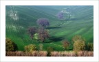 ...campi II... ...campi II...