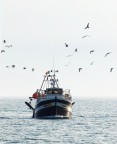 il rientro il rientro