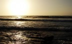 All we need to surf!! All we need to surf!!