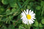 Foto 2 Foto 2