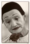 pulcinella pulcinella