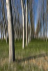 ritmi nella natura ritmi nella natura