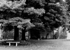 il giardino...dimenticato il giardino...dimenticato