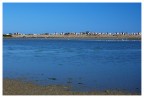 Camargue Camargue