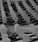 Commenti ben accetti. Grazie