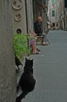 vita nel vicolo vita nel vicolo