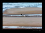 Ad Omaha beach... oggi... i bimbi Ad Omaha beach... oggi... i bimbi