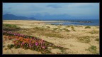 Golfo Sereno Golfo Sereno