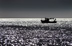 il vecchio e il mare il vecchio e il mare
