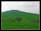 La collina