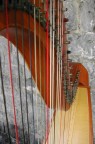 musica maestro.... musica maestro....