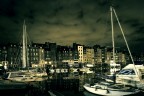 The Harbour The Harbour