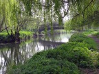 paesaggio inglese paesaggio inglese