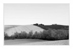Colline Marchigiane Colline Marchigiane