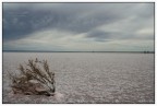 Salt Lake Salt Lake