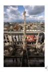 Sul tetto di Milano