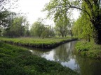 paesaggio inglese (2)