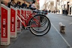 "Voglio andare in bici anch'io!" "Voglio andare in bici anch'io!"