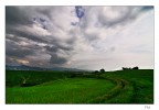 Grano e nuvole Grano e nuvole