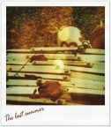 The last summer