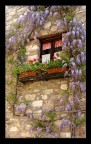 Interno 25 Interno 25