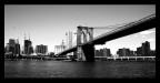 New York con pelucco New York con pelucco