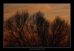 Un dipinto di tramonto. Un dipinto di tramonto.
