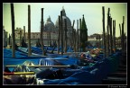 Venezia 3 Venezia 3