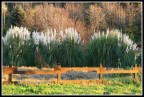 Paesaggio Paesaggio
