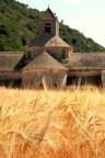 Abbazia di Sénanque Abbazia di Sénanque
