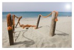 Aspettando... Aspettando...