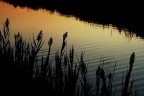 Acqua Acqua