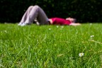 Voglia di Primavera Voglia di Primavera