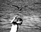 "il sogno" "il sogno"