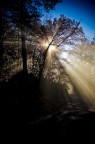 Road to light Road to light
