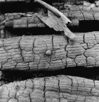 Analogica, copia unica stampata a mano con processo conservativo su carta baritata.
Anno ripresa:1982 - Anno stampa:2004 - Misure:49.2x48.0
Hasselblad 500 ELM - Ilford FP4