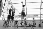 pallavolo pallavolo