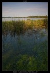 lake lake