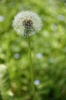 La solitudine La solitudine