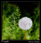 Fragile @ ZioMauri29 Fragile @ ZioMauri29
