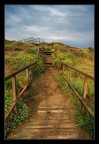 Up & Down Up & Down