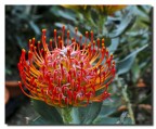 Il rosso e il giallo Il rosso e il giallo