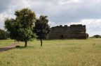 diroccata diroccata