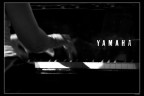 Dreaming Jazz Dreaming Jazz