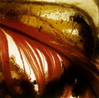 Analogica, cibachrome, copia unica stampata a mano.
Anno:1981 - Vintage print
Misure:26.4x26.8
Hasselblad 500 ELM - Agfachrome 50