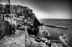 Manarola B&W Manarola B&W