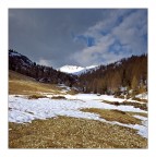 Paesaggio Quadrato Paesaggio Quadrato