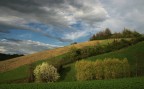 Colline di Vigoleno Colline di Vigoleno