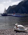 Lago di Garda Lago di Garda