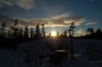 Foresta Norvegese Foresta Norvegese